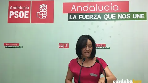 Rafi Cresp&iacute;n PSOE