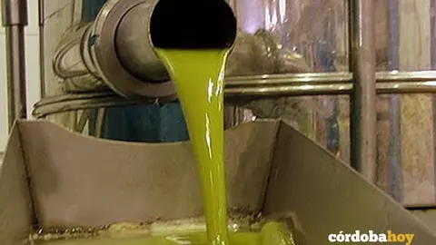 Aceite de oliva