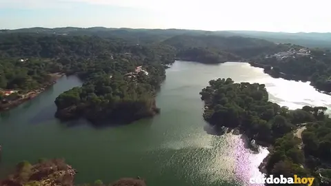 Las jaras