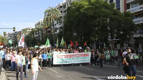 HUELGA ENSE&Ntilde;ANZA 55
