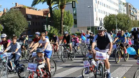 BICIS 8