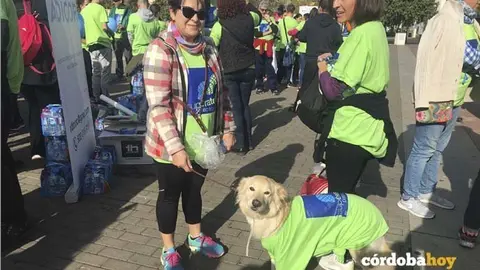 marcha diabetes 1