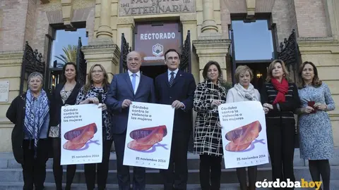 Manifiesto D&iacute;a Internacional Eliminaci&oacute;n Violencia Mujer