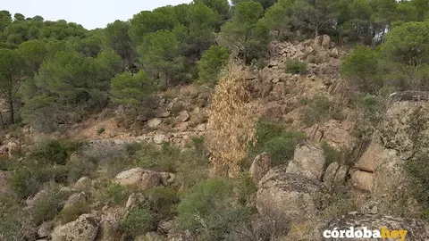 sierra de cordoba
