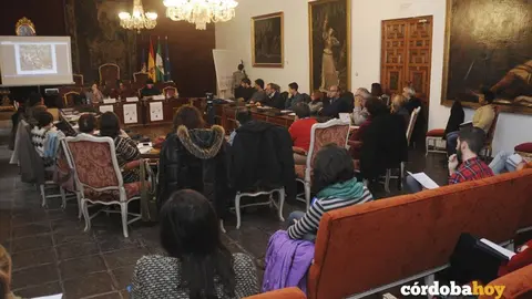 Jornada de sensibilizaci&oacute;n y desarrollo enel sal&oacute;n de plenos de la Diputaci&oacute;n