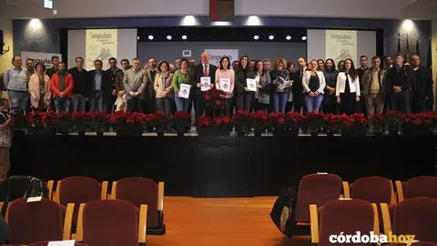 Presentaci&oacute;n del Plan Impulso de la Diputaci&oacute;n