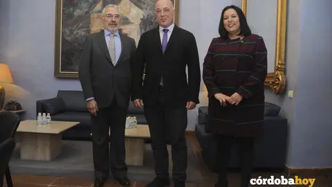 Ignacio Fern&aacute;ndez de Mesa, presidente de la C&aacute;mara de Comercio, Antonio Ruiz, presidente de Diputaci&oacute;n, y Dolores Amo, delegada provincial de Empleo