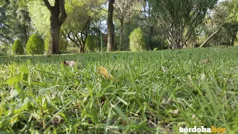 Parque Cruz Conde, en una imagen de archivo