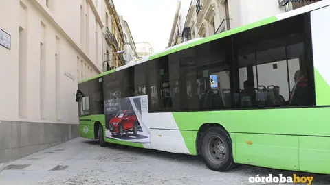 Capitalares 8