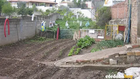 terrenos asomadilla 1