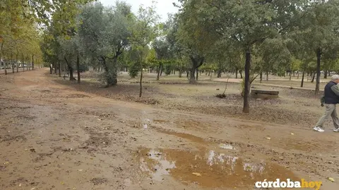 Circuito del Tablero