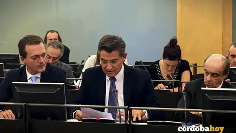 El diputado de Ciudadanos, Luis Salvador