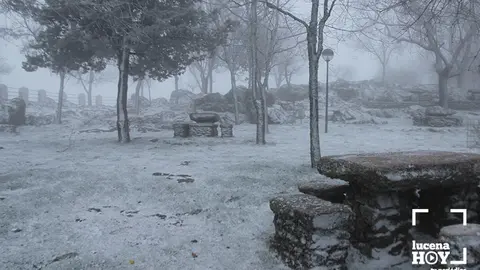 nieve1