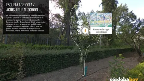 Aplicaci&oacute;n APP para el Jard&iacute;n Bot&aacute;nico
