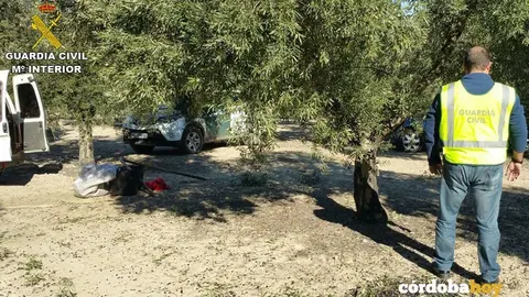 policia aceitunas