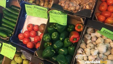 ecologico 4