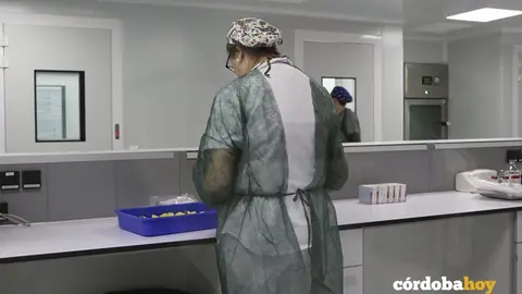 farmacia 2