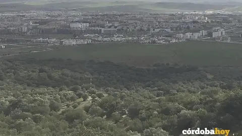 PATRIARCA