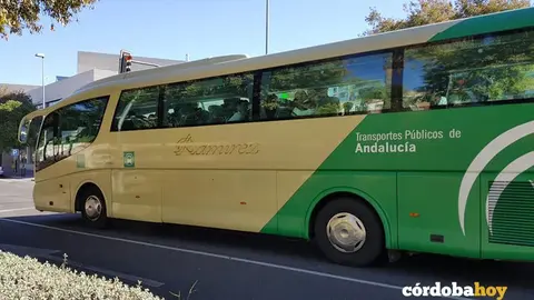 Autob&uacute;s del Consorcio de Transporte Metropolitano