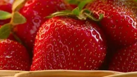 fresas