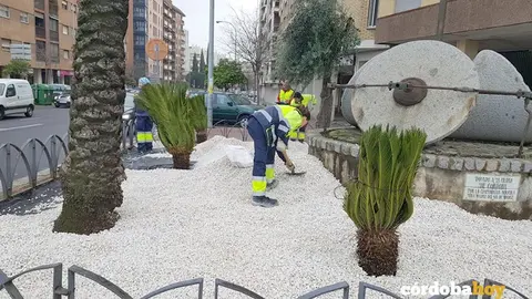 Personal de Parques y Jardines en plenas labores
