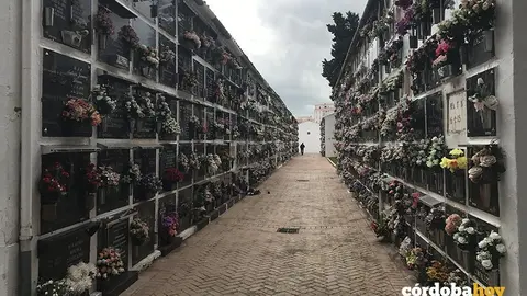 cementerio san rafael nichos 2