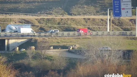 autovia a-4