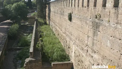 Murallas avenida del Corregidor