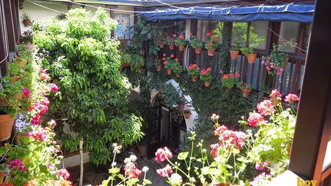 patio beatillas