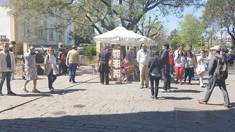 primavera