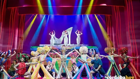 priscilla musical