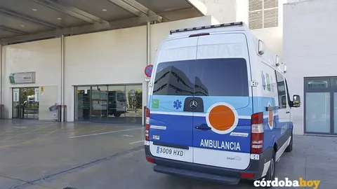 Ambulancia en las Urgencias del Hospital Reina Sof&iacute;a