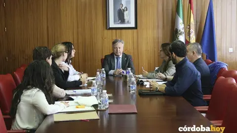 comision expertos violenci genero