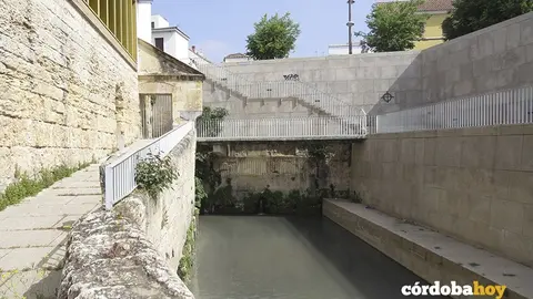 Molino martos
