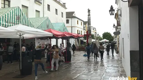 cruces plaza potro