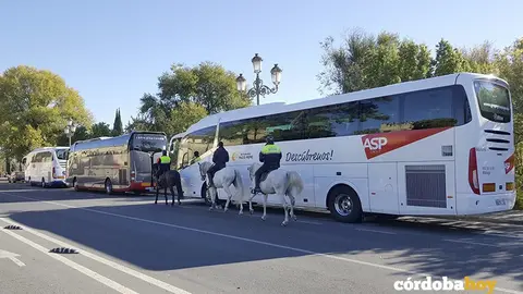 Autobuses tur&iacute;sticos en la Ribera