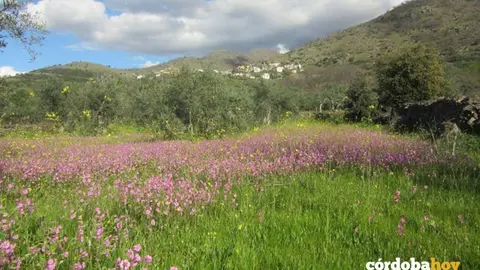 segura toro extremadura albergue