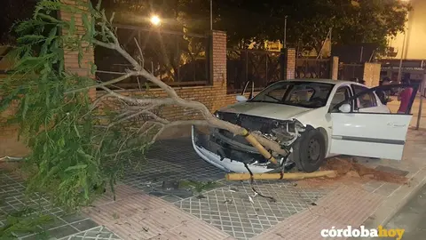 coche contra &aacute;rbol
