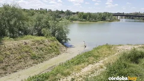 rio Guadalquivir