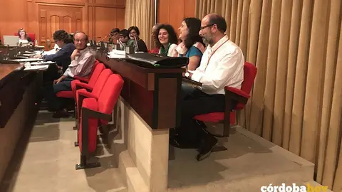 pleno mayo paco molina posesion