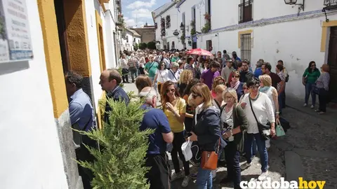 CORDOBA. 06/05/2017. REPORTAJE DE PATIOS Y REJAS (COLAS EN SAN BASILIO). FOTO: ROLDAN SERRANO. CORDOBA HOY.