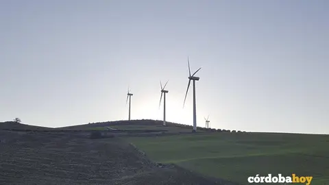 Energ&iacute;a e&oacute;lica