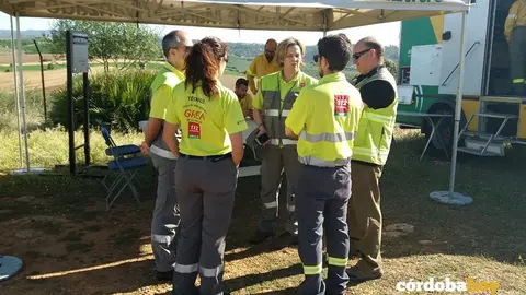 Simulacro