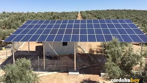 Placas solares en una explotaci&oacute;n agraria cordobesa, en una imagen cogida de la web de SUR SOLAR