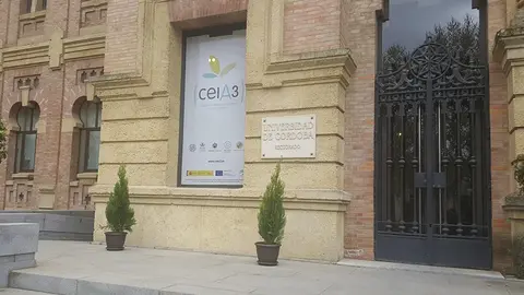 Rectorado UCO puerta