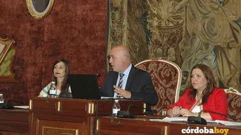 Pleno dipu