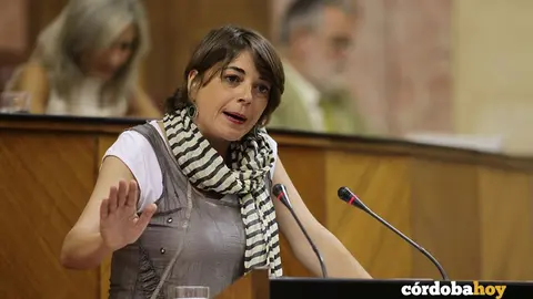 Elena Cort&eacute;s durante una intervenci&oacute;n parlamentaria