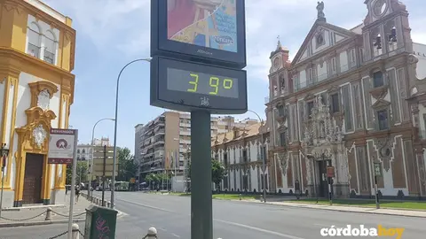 39 GRADOS