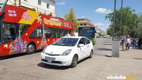 Taxi en el Paseo de la Ribera