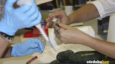 Investigaci&oacute;n en el ceiA3